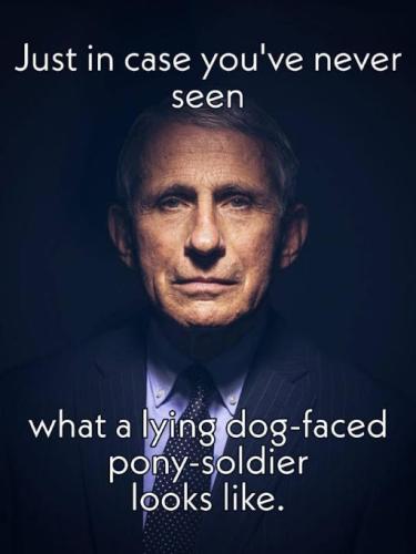lying dog-faced pont soldier03