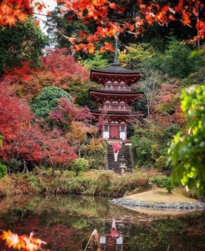 274816903_475402777547532_2562739806730797311_n