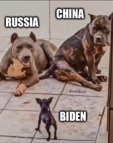 FB_IMG_1646376372051