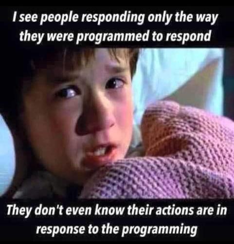 578f8e2d-4b62-46f3-8599-dd952d8ed3e1