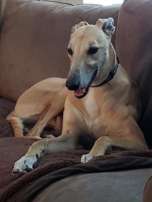 e0c3bcd5-0f3e-4de1-913e-1fafc8a33027