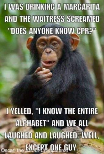 FB_IMG_1646635305666