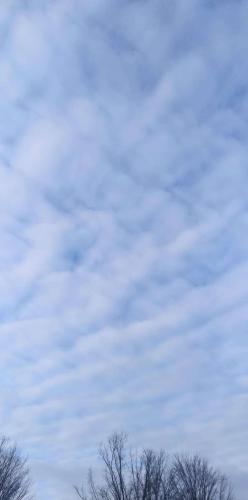 5909fa5a-5b46-4fa2-b36e-aedf417cce39