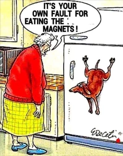 FB_IMG_1647540945556