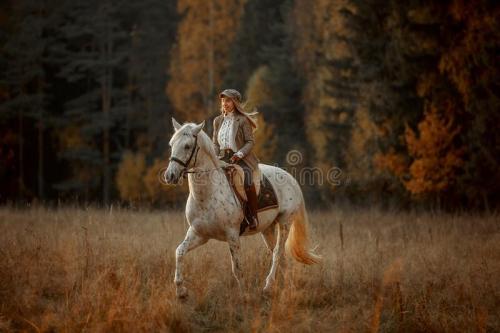 beautiful-young-woman-english-hunter-wear-style-knabstrupper-horse-irish-setter-autumn-park-beautiful-young-woman-233011449