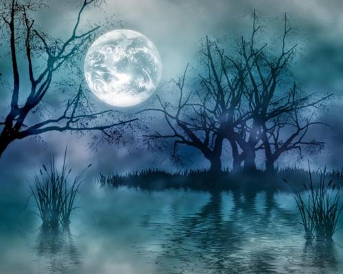 3D Beautiful Night Sky HD Wallpapers (3)