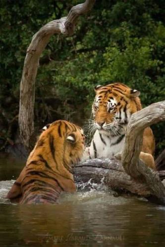 tumblr_4959673fe709669f4f0e5fdf90d06db9_ce2ccdfb_540