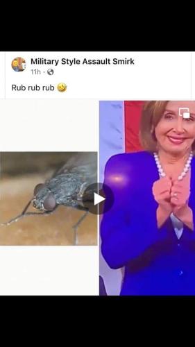 FB_IMG_1646377226648