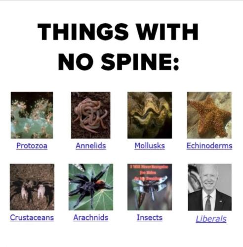 FB_IMG_1646443933331