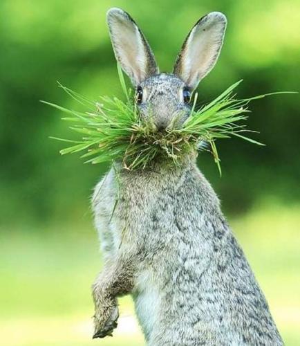 FB_IMG_1632517355167