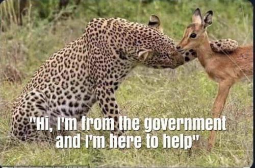 FB_IMG_1647938336068