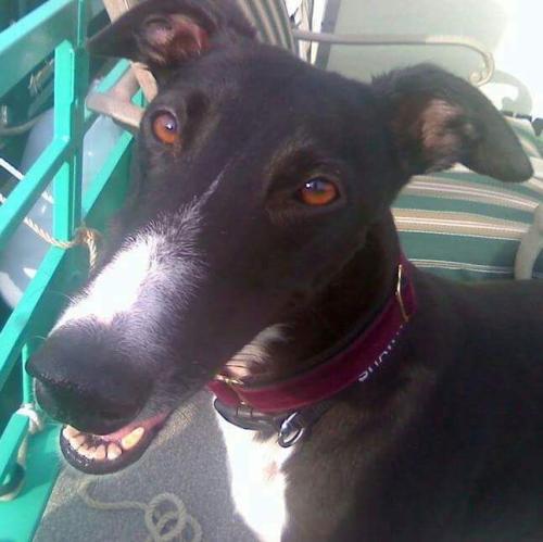 5fe22a42-467a-4567-8760-0351c3d14935