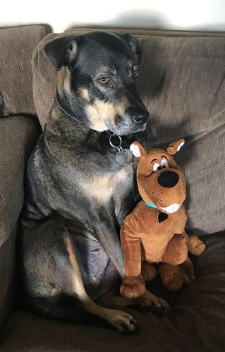 6B3B3055-1EFA-45AD-8CF4-A69B5CB50177