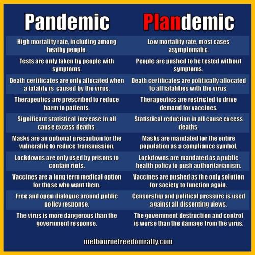 Plandemic 1