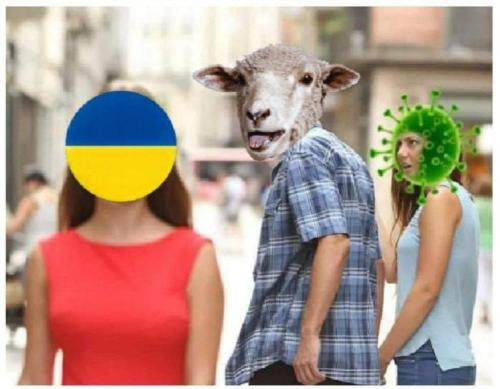 photo_2022-03-03_18-30-00