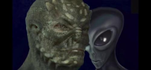 fc90947f-a7b4-4ad3-b63c-58c0c6f4c206