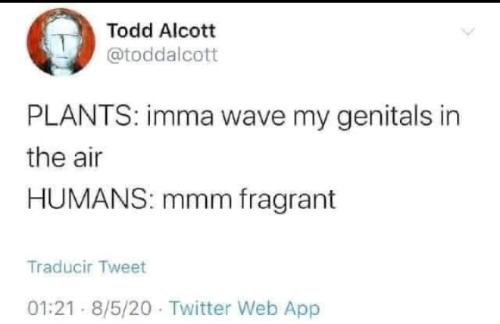 Screenshot_2022-03-19-07-25-45-56_a23b203fd3aafc6dcb84e438dda678b6