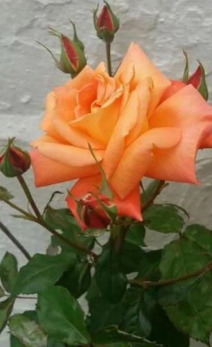 09:37:40 GMT-0500 (CDT)