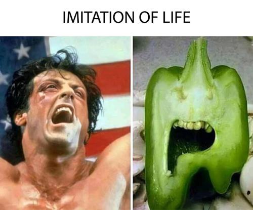 ImitationOfLife_meme