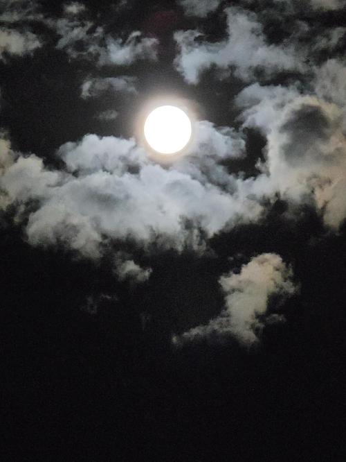 57c4d953-9ada-4068-a182-cf9f60851a32