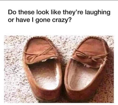 FB_IMG_1646167849588