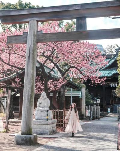 275065231_4863115403807553_177665735073265464_n