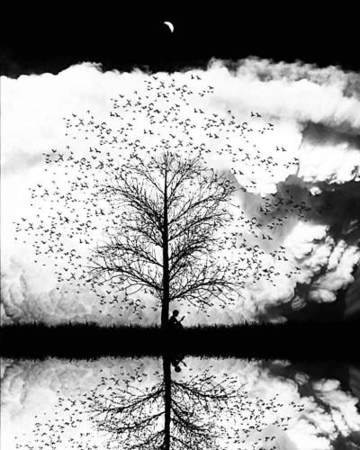 BW Man Reading by Lake on Cloudy Day