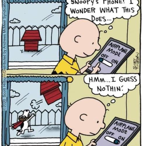 275010444_5028850263840252_6176239010537876254_n