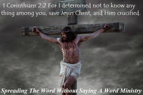 56372177_2249267008488751_1657697173975859200_n