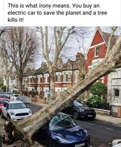FB_IMG_1646410595877