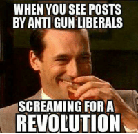 thumb_when-you-see-posts-by-anti-gun-liberals-screaming-for-6295191