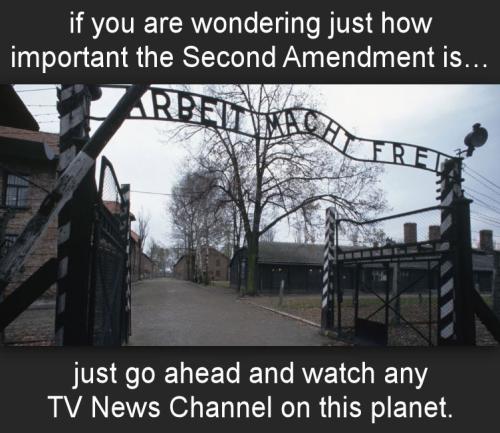 if you are wondering just how important the Second Amendment is