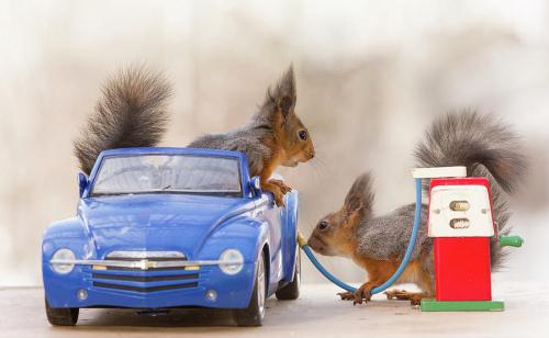 10:38:08 GMT-0500 (EST)