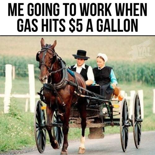 275364858_342110081288542_3071398165115430892_n