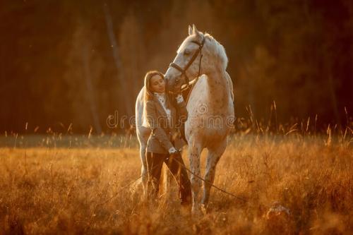 beautiful-young-woman-english-hunter-wear-style-knabstrupper-horse-irish-setter-autumn-park-233010678