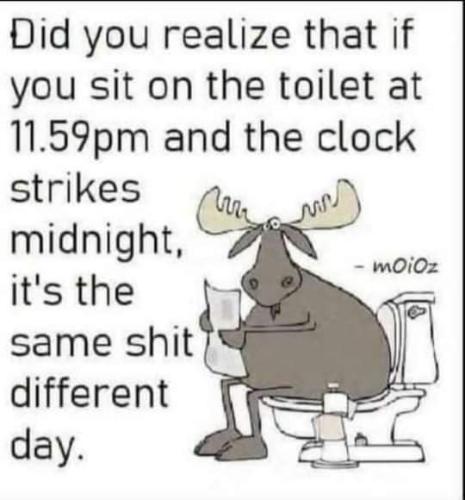 FB_IMG_1646671894348