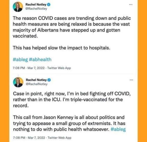 275469951_416699223555318_2329626084844555132_n