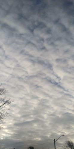 8781068f-ab17-48d5-8c7d-bd7422ee87ab