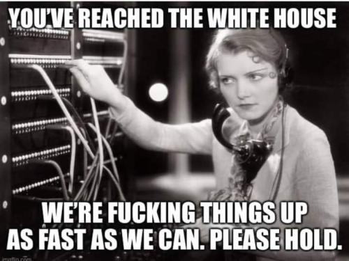 FB_IMG_1646413521644