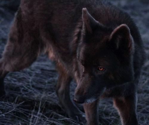 20:23:34 GMT-0500 (CDT)