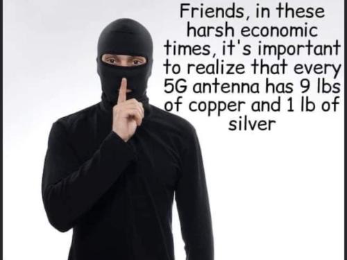 FB_IMG_1646114979615