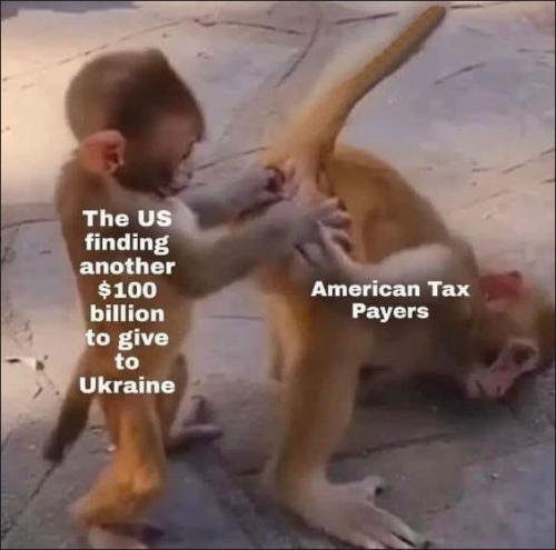 taxpayers have paid06
