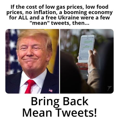 Political - Bring Back Mean Tweets