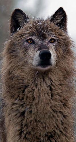 f9c24ff3c9782d258562cf4ec96d2aa0