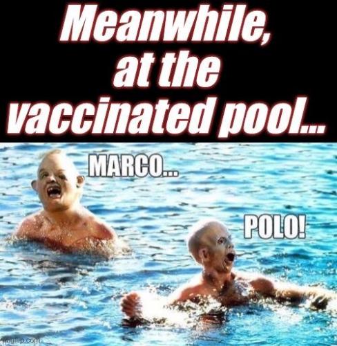 BDD576B3-16BF-4829-9064-69E2E4DB2F50