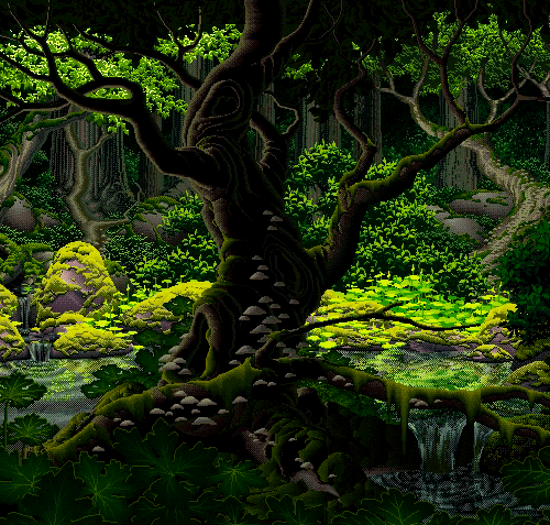 Deep forest scene