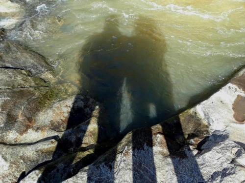 20d2460e4fd550e5a481ac5be5fd81fa