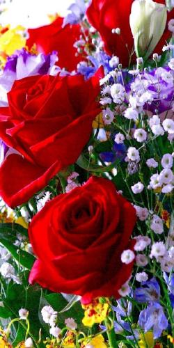 18:57:20 GMT-0600 (CST)