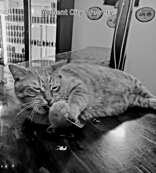 3937c6e4-b83d-4c93-9422-52b4b85659cd