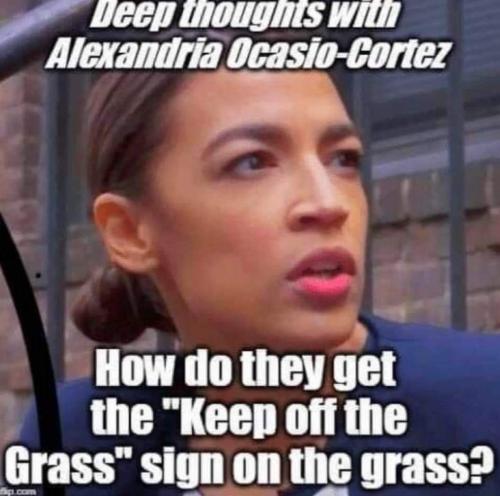 FB_IMG_1646379775178